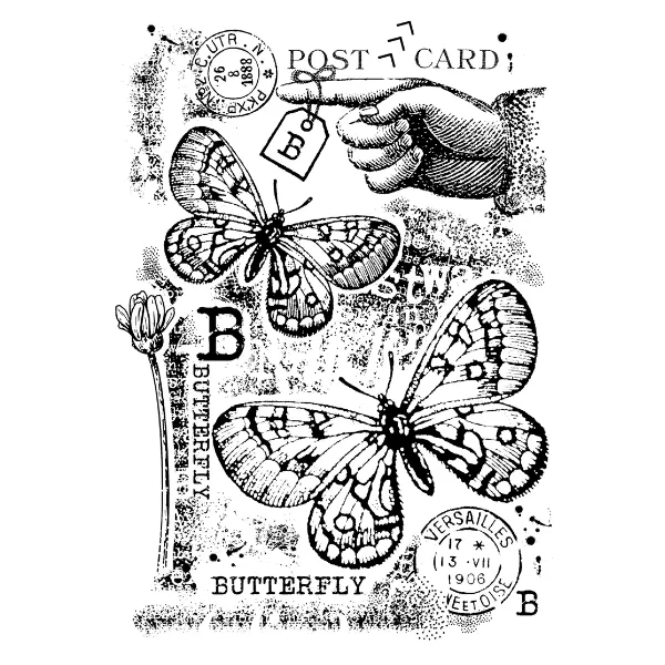 B is for Butterfly Clear Stamp Set