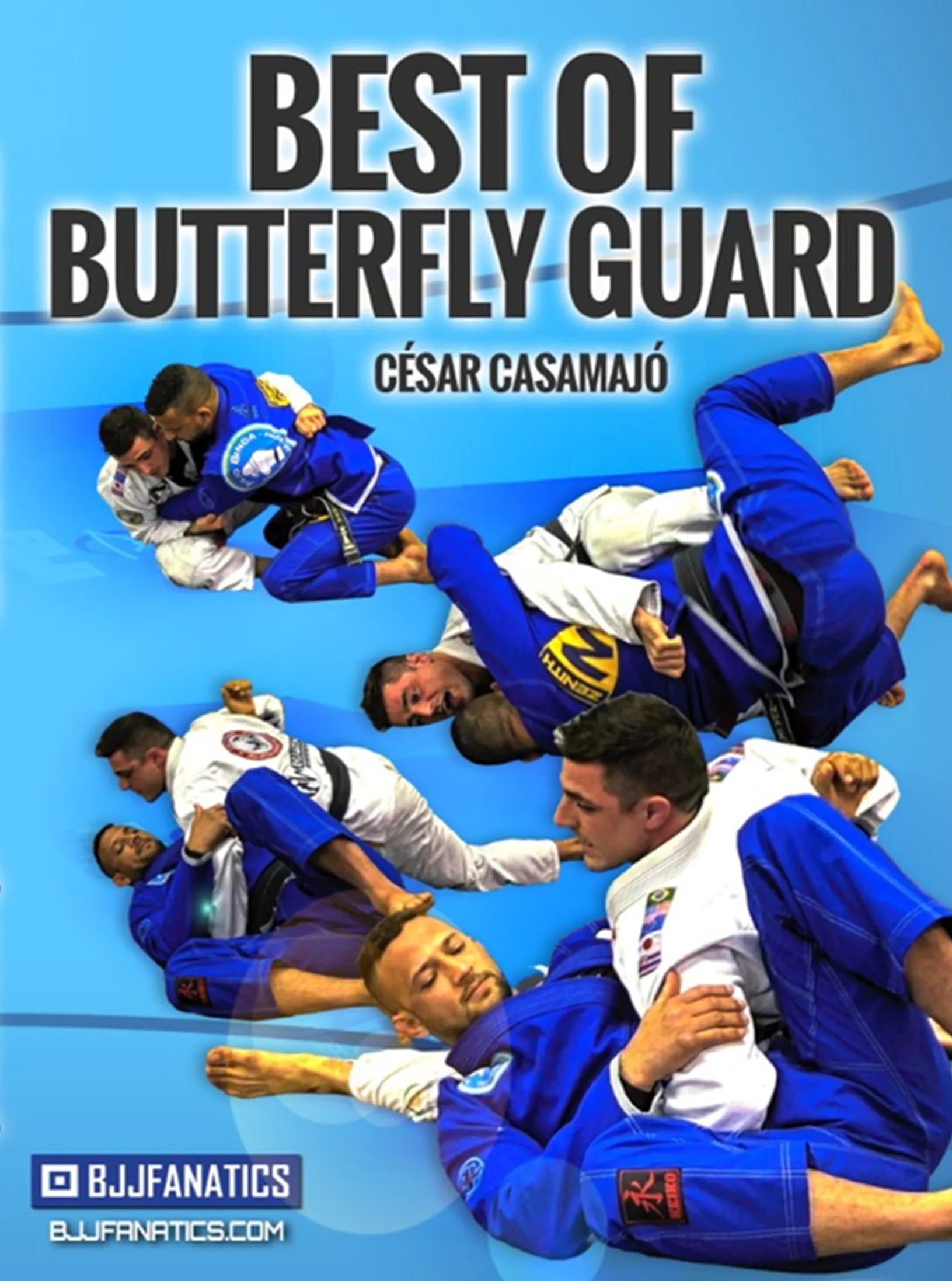 Best of Butterfly Guard by Cesar Casamajo