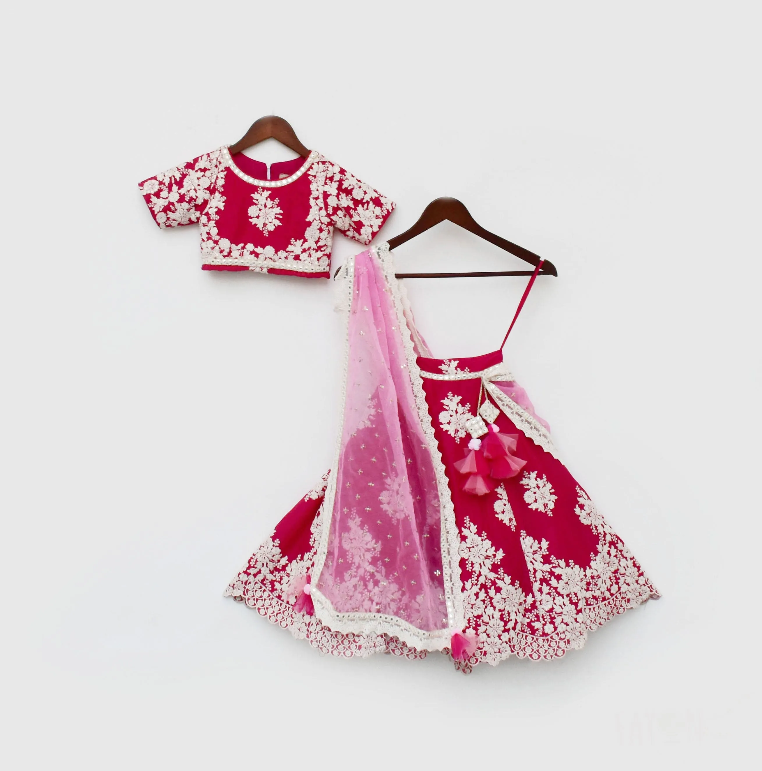 Pre Order: Pink Lehenga Choli and Pink Organza Dupatta