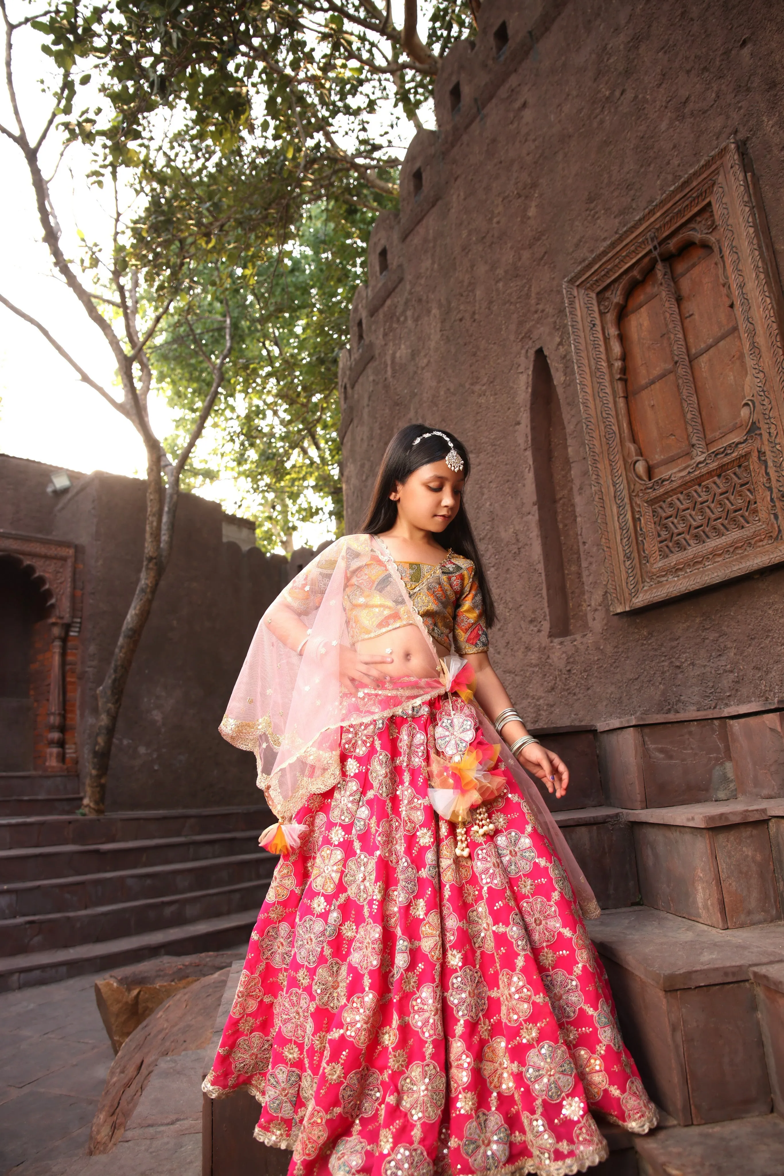 Pre Order: Yellow Embroidery Choli with Lehenga